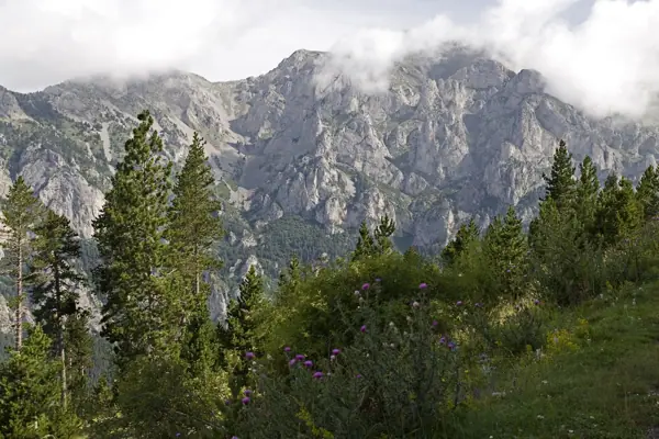 Penyes Altes del Moixeró (Gréixer) · 03280