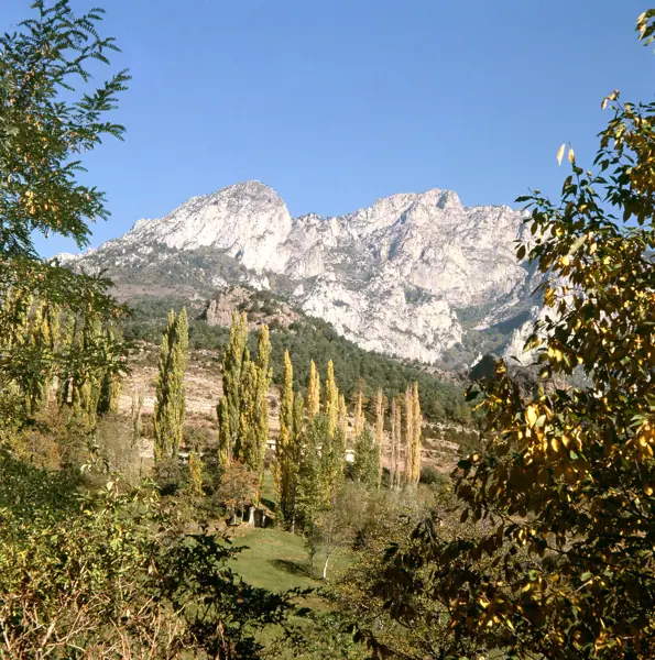 Penyes Altes del Moixeró (Gréixer) · 00743