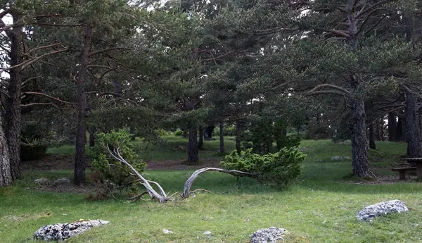 Creu del Codó (Guixers) · 07653
