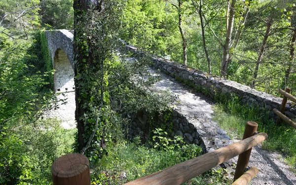 Pont de Vallonga (Guixers) · 07627