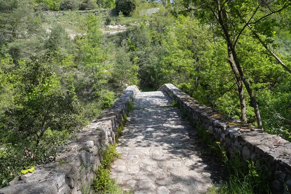 Pont de Vallonga (Guixers) · 07628