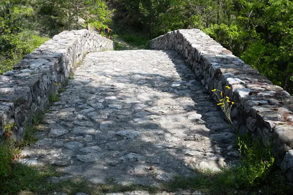 Pont de Vallonga (Guixers) · 07631