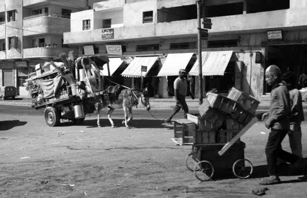Guerra de 1973: Jericó, Jerusalem, Sinaí… · 00306