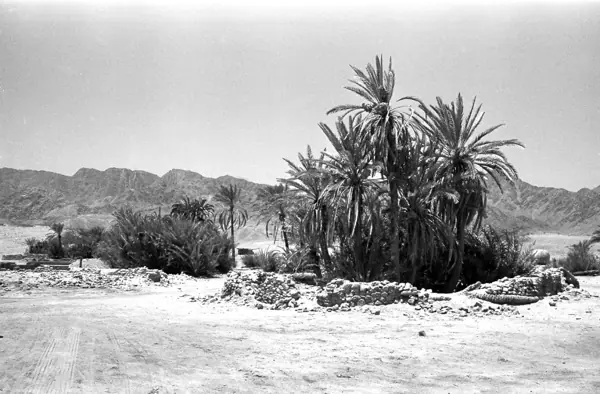 Guerra de 1973: Jericó, Jerusalem, Sinaí… · 00315