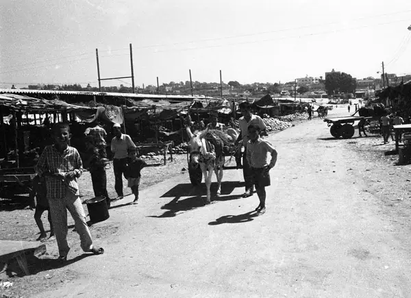 Guerra de 1973: Jericó, Jerusalem, Sinaí… · 00323