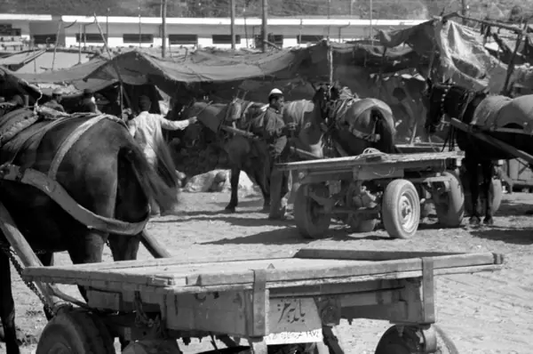 Guerra de 1973: Jericó, Jerusalem, Sinaí… · 00327