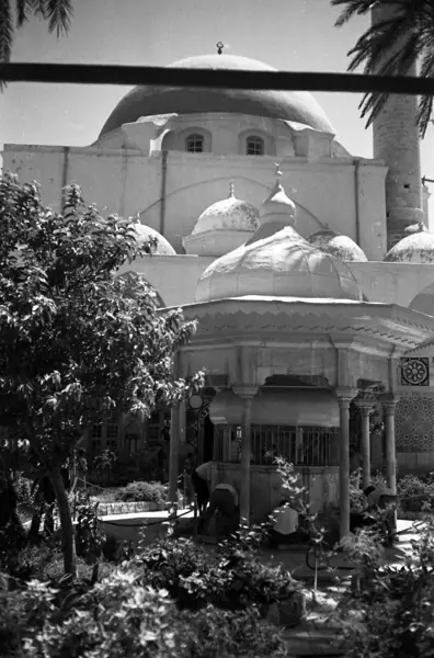 Guerra de 1973: Jericó, Jerusalem, Sinaí… · 00333