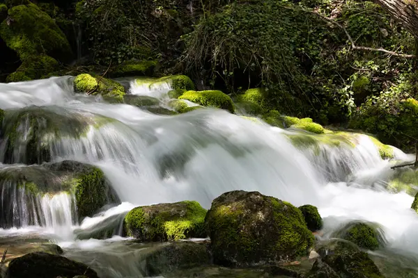 Fonts del Cardener (La Coma i la Pedra) · 07618