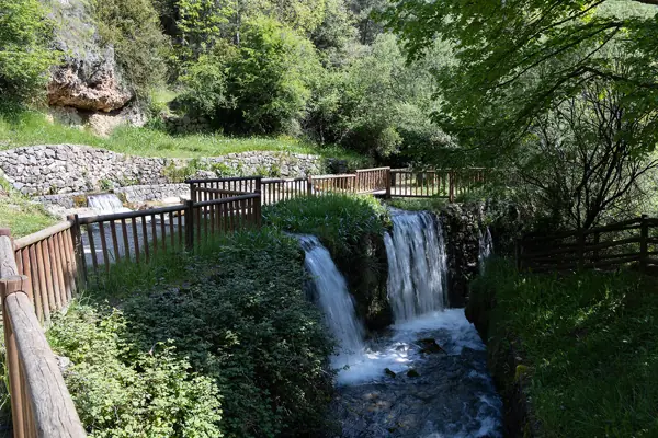Fonts del Cardener (La Coma i la Pedra) · 07615