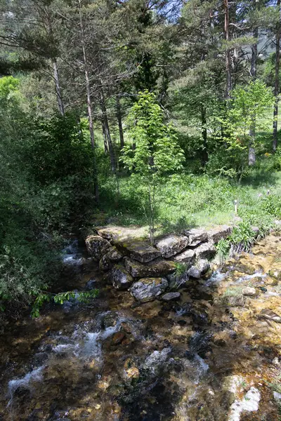 Fonts del Cardener (La Coma i la Pedra) · 07636