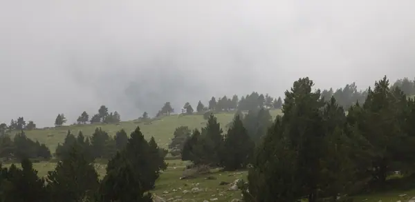 Coll de la Mina i Coll de Pal amb boira (Bagà) · 03294