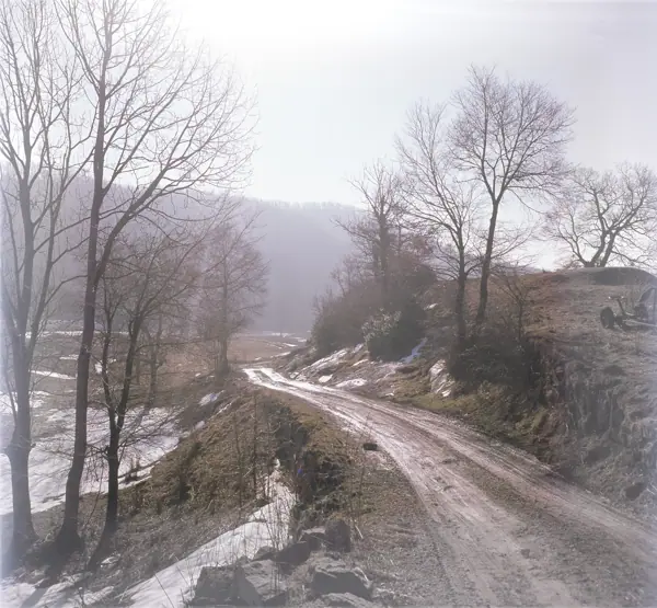 Paisatges (Osona) · 00162