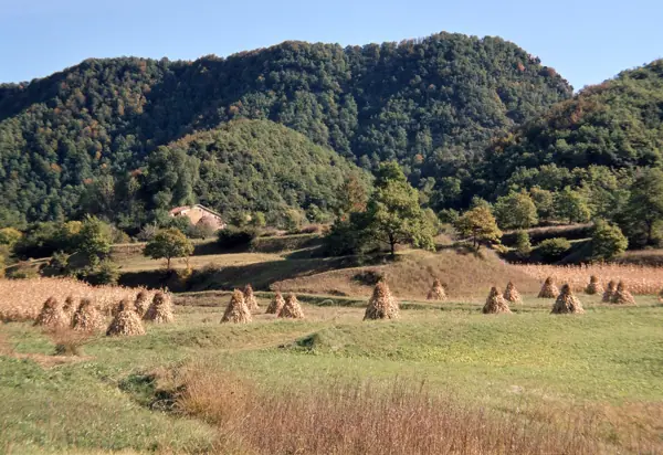 Paisatges (Osona) · 00200