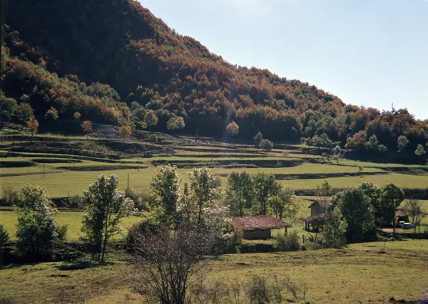 Paisatges (Osona) · 01104