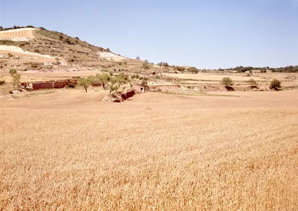 Paisatges: Aguiló i Rauric (L'Espluga de Francolí) · 01064
