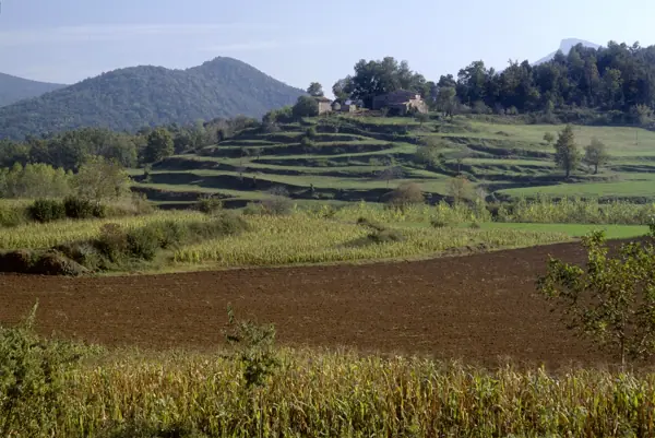 Paisatges (Garrotxa) · 00204