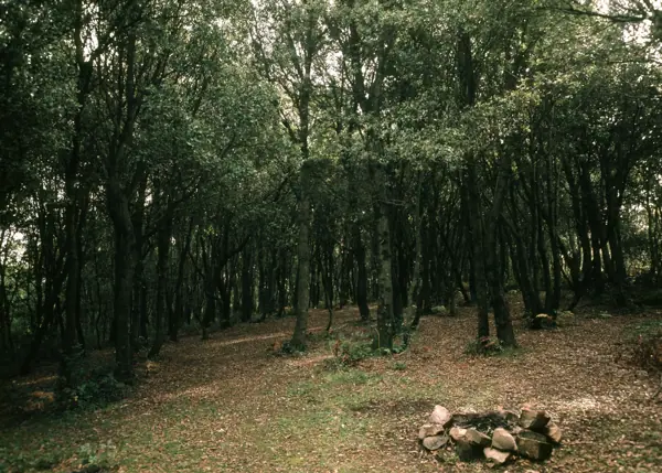 Paisatges (Garrotxa) · 01083