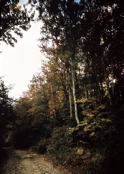 Paisatges (Garrotxa) · 01072