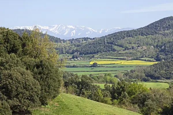 Paisatges (Garrotxa) · 03230