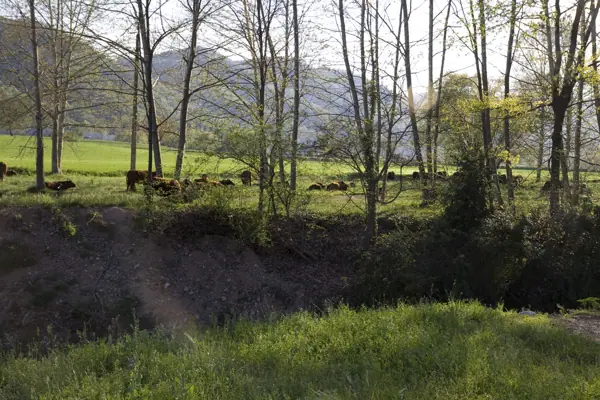 Paisatges (Garrotxa) · 03233