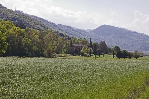 Paisatges (Garrotxa) · 03231