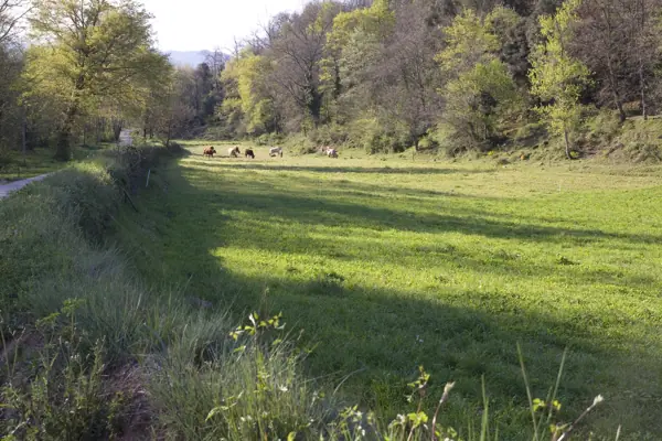 Paisatges (Garrotxa) · 03232