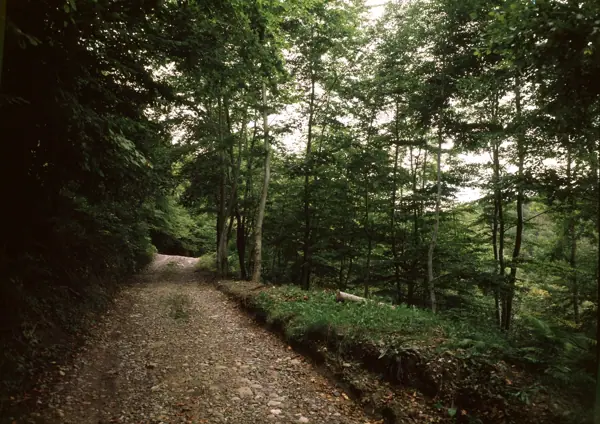 Paisatges (Garrotxa) · 01082