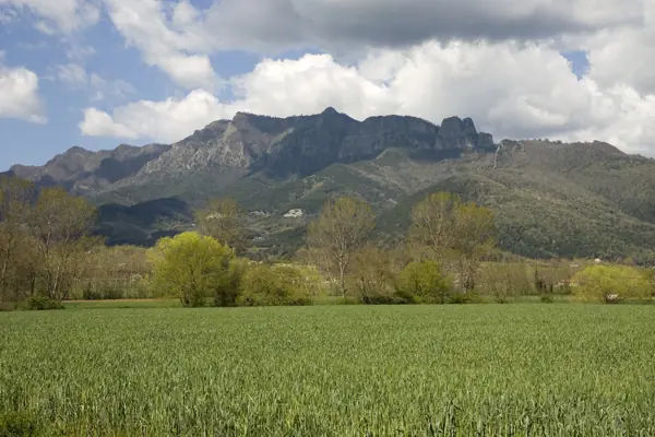 Paisatges (Garrotxa) · 03234