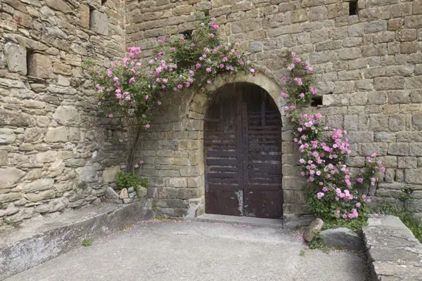 Església de Santa Maria (Les Llosses) · 02491