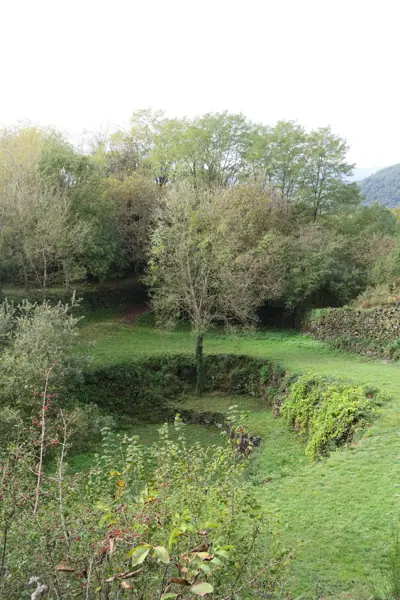 Parc de Pedra Tosca (Les Preses) · 05146