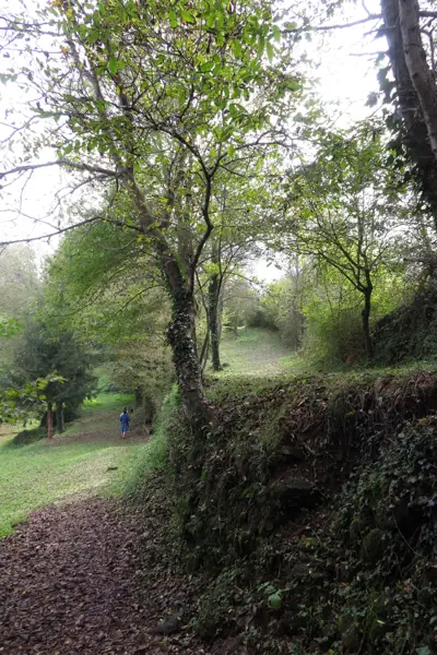 Parc de Pedra Tosca (Les Preses) · 05147