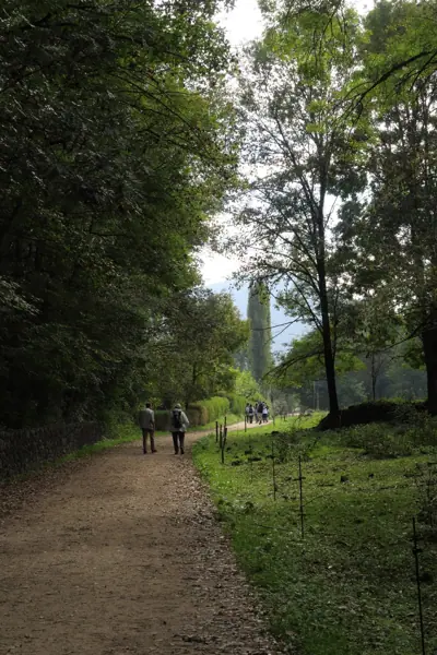 Parc de Pedra Tosca (Les Preses) · 05149