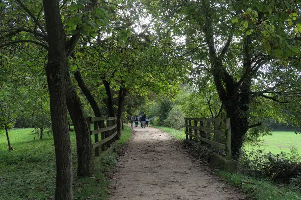 Parc de Pedra Tosca (Les Preses) · 05148