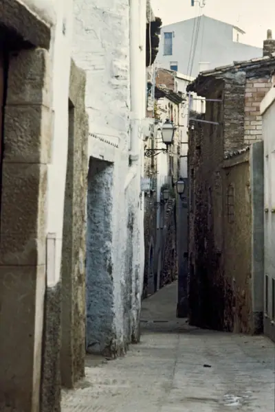 Església de Sant Miquel, 1975 (L'Espluga de Francolí) · 02540