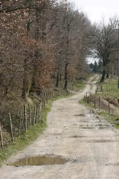 Panteó carlí i Rupit (Llaers) · 01008