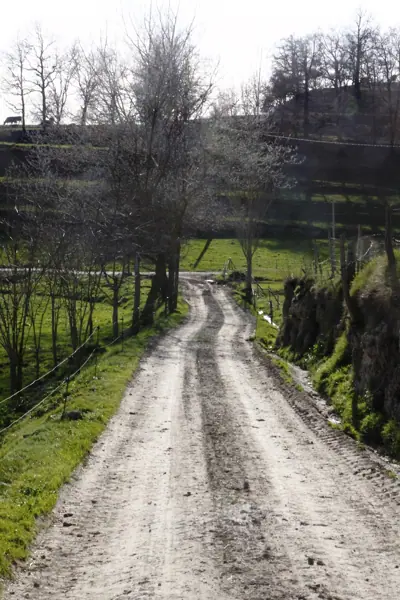 Panteó carlí i Rupit (Llaers) · 01009