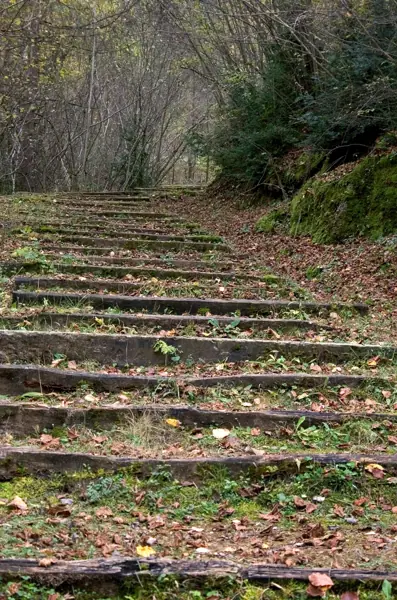 Panteó carlí i Rupit (Llaers) · 00215