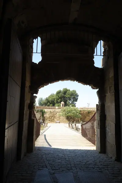 Castell del Rei (La Suda) (Lleida) · 04898