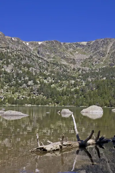 Estany de Malniu (Meranges) · 03044