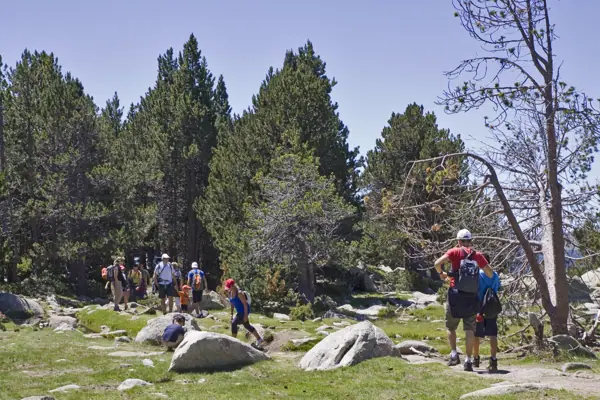 Estany de Malniu (Meranges) · 03046
