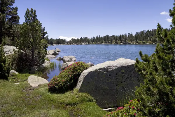 Estany de Malniu (Meranges) · 03051