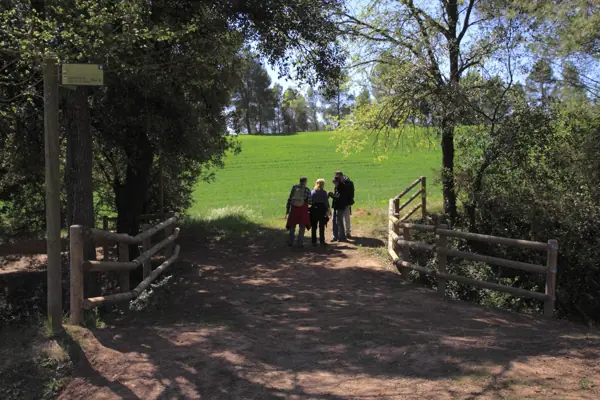 Regadius de Manresa, paisatges (Manresa) · 02951