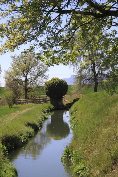 Regadius de Manresa, paisatges (Manresa) · 02952