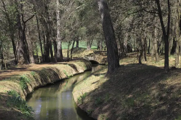Regadius de Manresa, paisatges (Manresa) · 02956