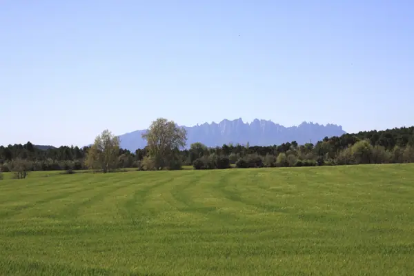 Regadius de Manresa, paisatges (Manresa) · 02954