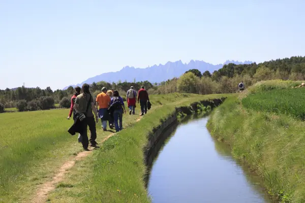 Regadius de Manresa, paisatges (Manresa) · 02955