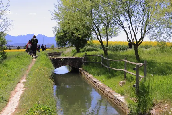 Regadius de Manresa, paisatges (Manresa) · 02958