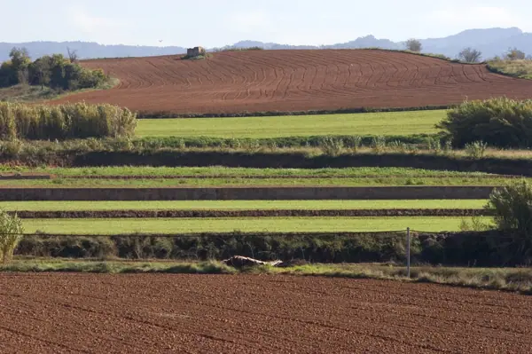 Regadius de Manresa, paisatges (Manresa) · 00242