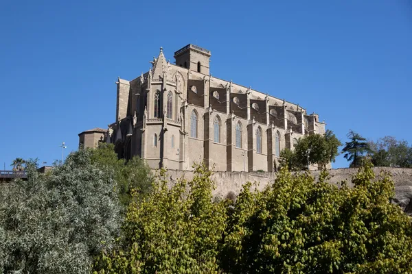La Seu (collegiate basilica), exteriors (Manresa) · la