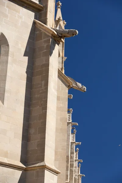 La Seu (collegiate basilica), exteriors (Manresa) · la